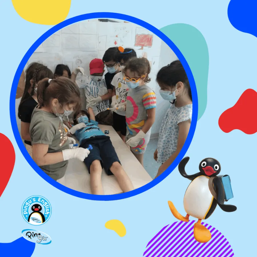 Pingu's English Cầu Giấy